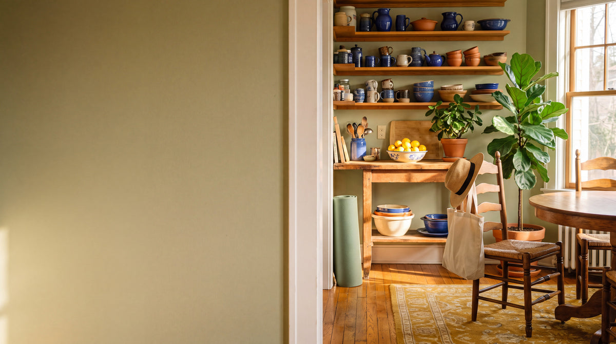 A sunlit kitchen with open wooden shelves, blue ceramics and a fiddle leaf fig